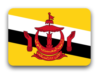 Brunei Darussalam flag