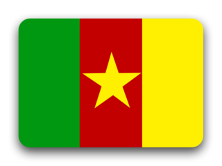 Cameroon flag