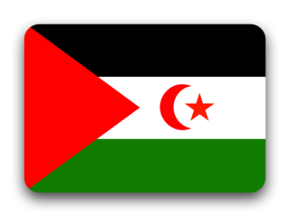 Western Sahara flag