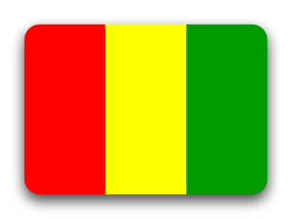 Guinea flag