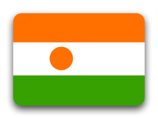 Niger flag