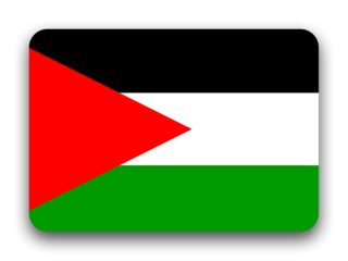 Palestine flag