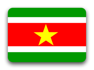 Suriname flag